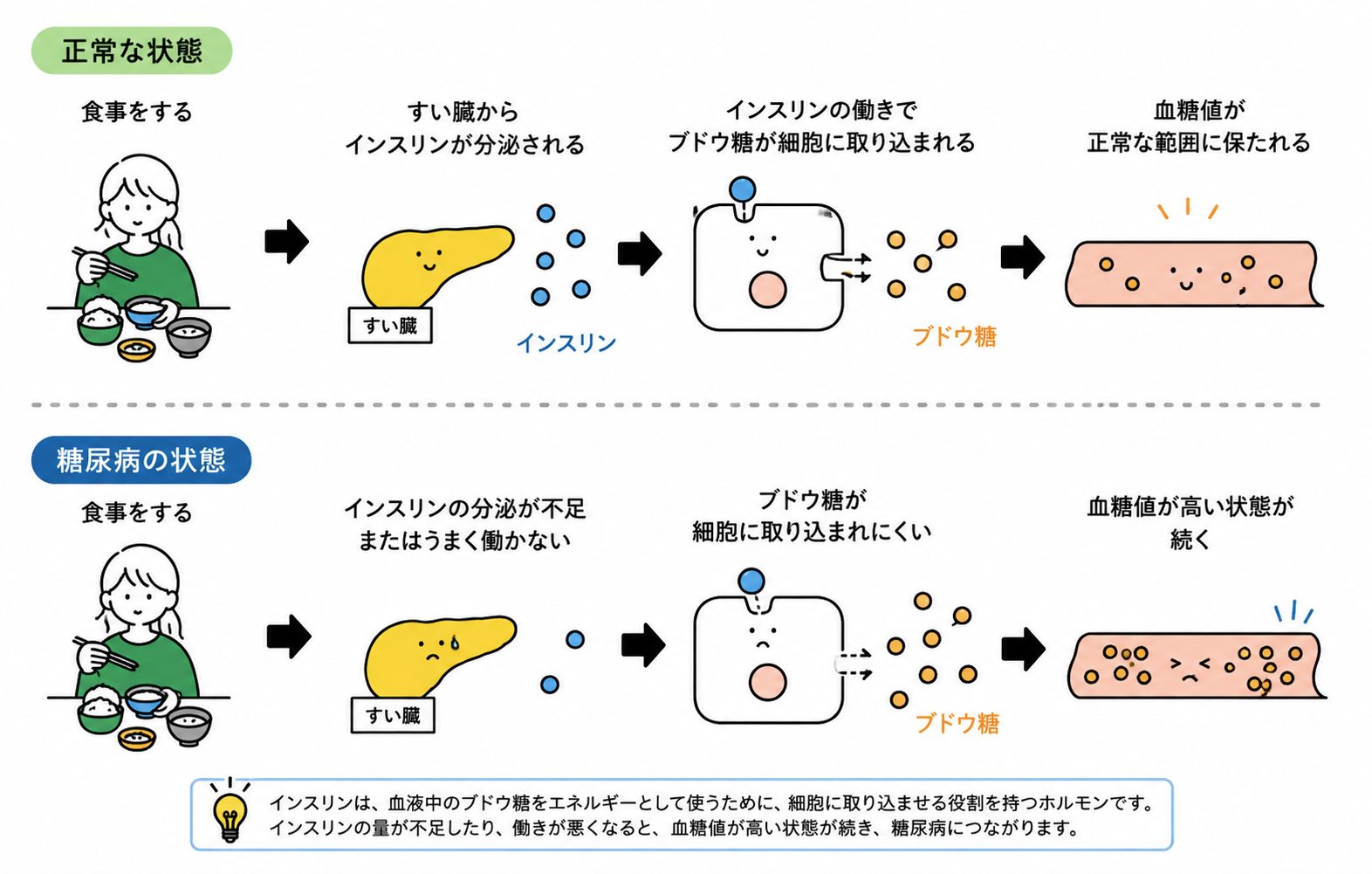インスリンと血糖値の仕組みを説明するイラスト